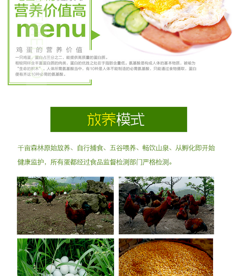 绿壳鸡蛋2_05.jpg