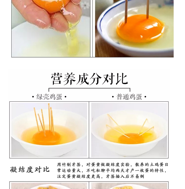 绿壳鸡蛋2_07.jpg