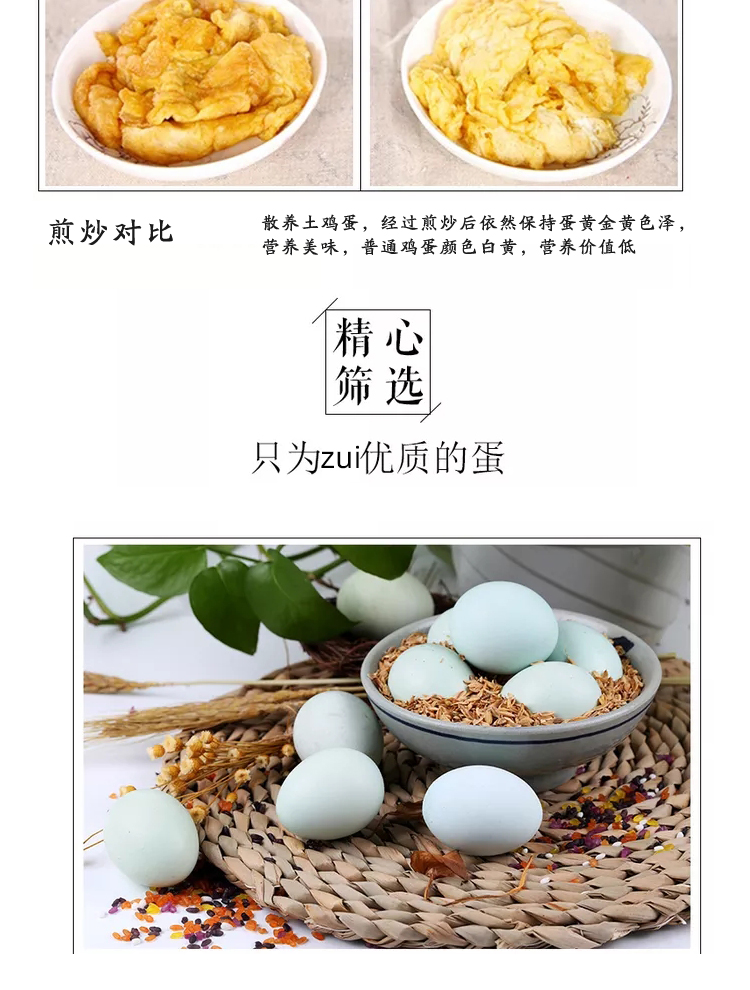 绿壳鸡蛋2_08.jpg