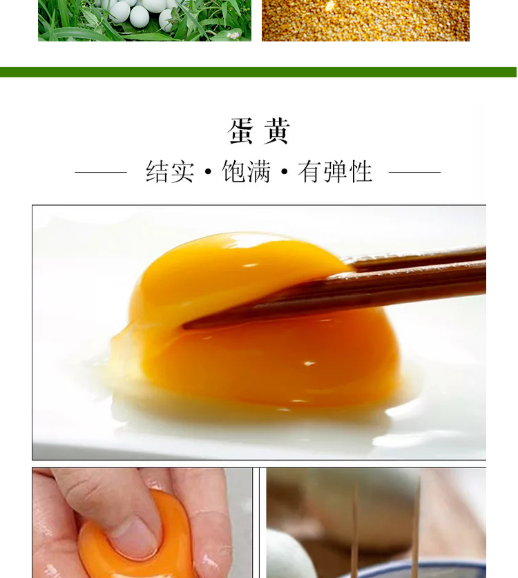 绿壳鸡蛋2_06.jpg