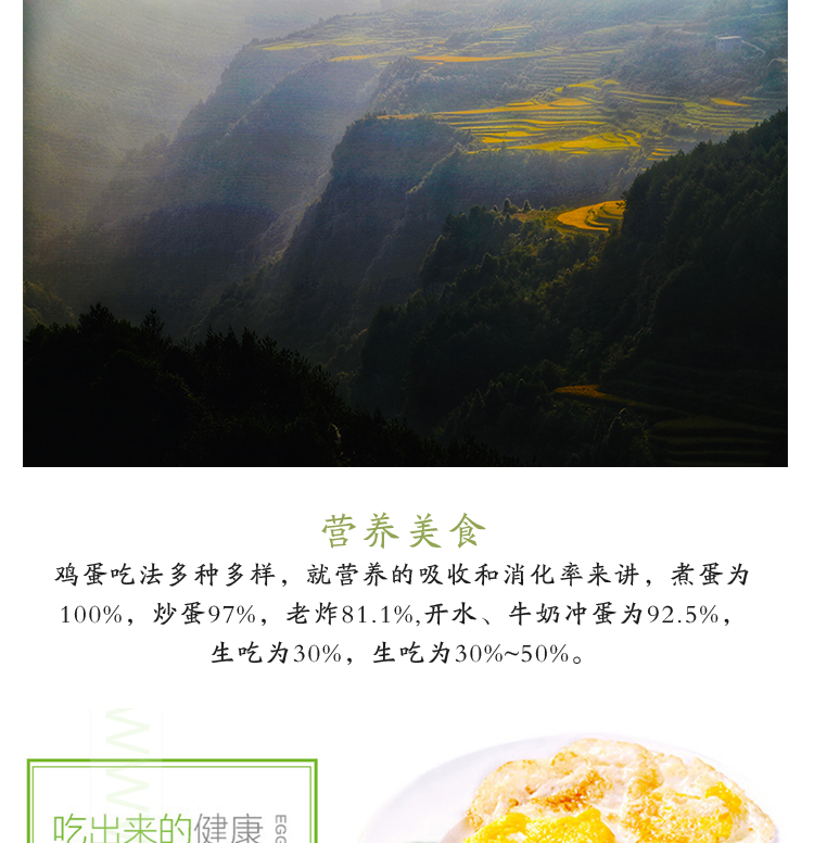 绿壳鸡蛋2_04.jpg