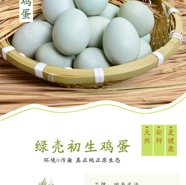 绿壳鸡蛋2_02.jpg