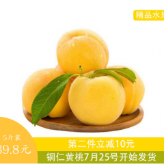 铜仁黄桃精品水果净重5斤装