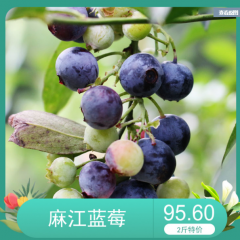 麻江蓝莓8盒2斤装贵州高山生态水果新鲜当季初荷农庄果园现摘直销