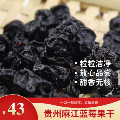 贵州麻江蓝莓果干200g休闲零食罐装果脯蜜饯水果干蓝莓干包邮
